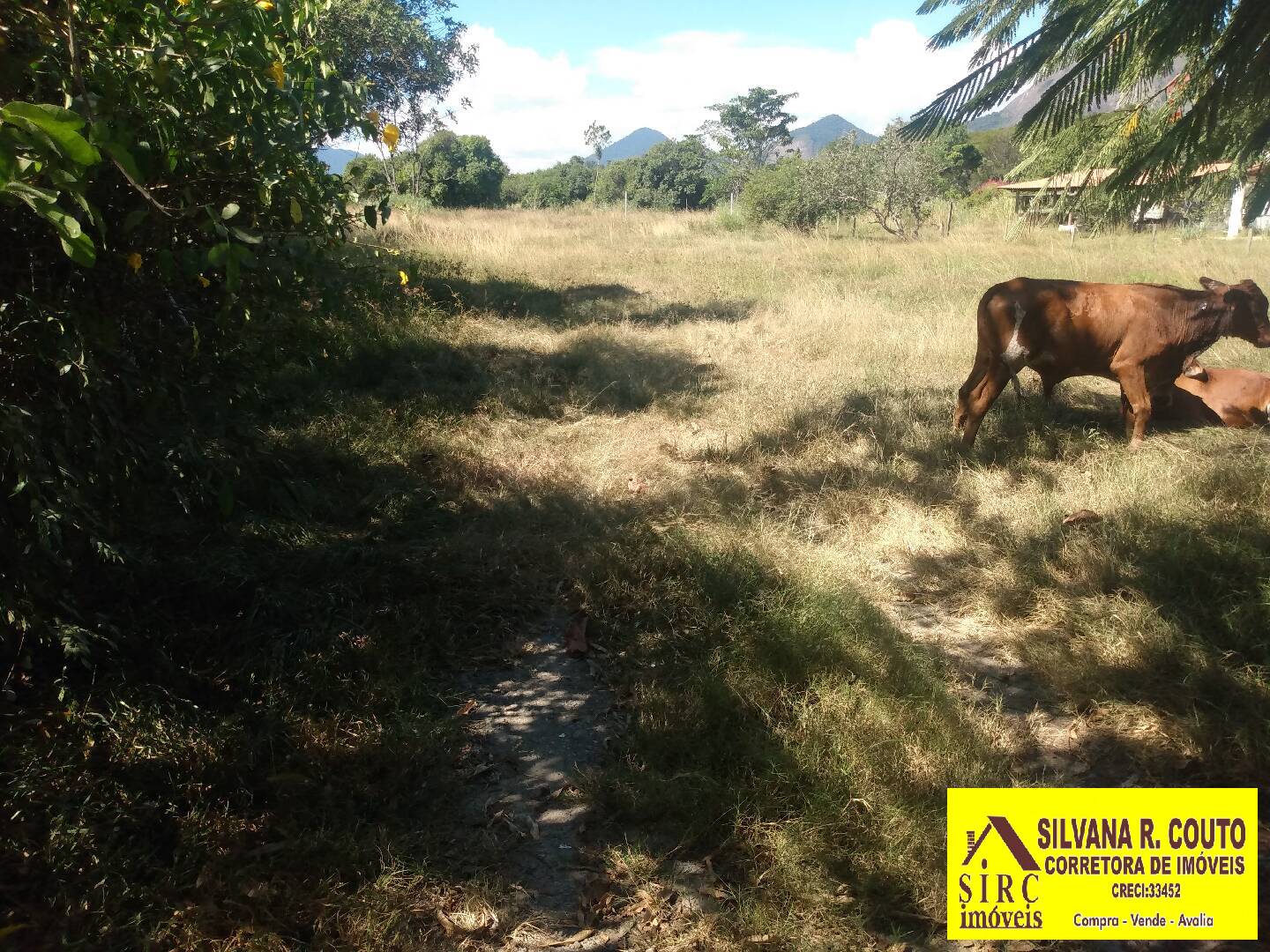 Terreno à venda, 100m² - Foto 11