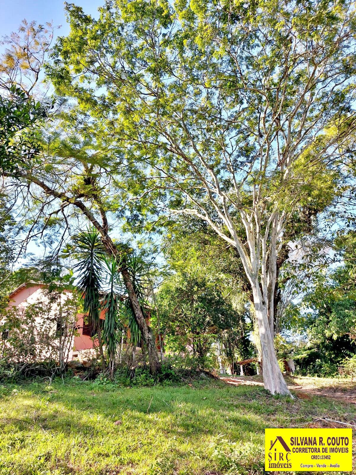 Fazenda à venda com 2 quartos, 230m² - Foto 8