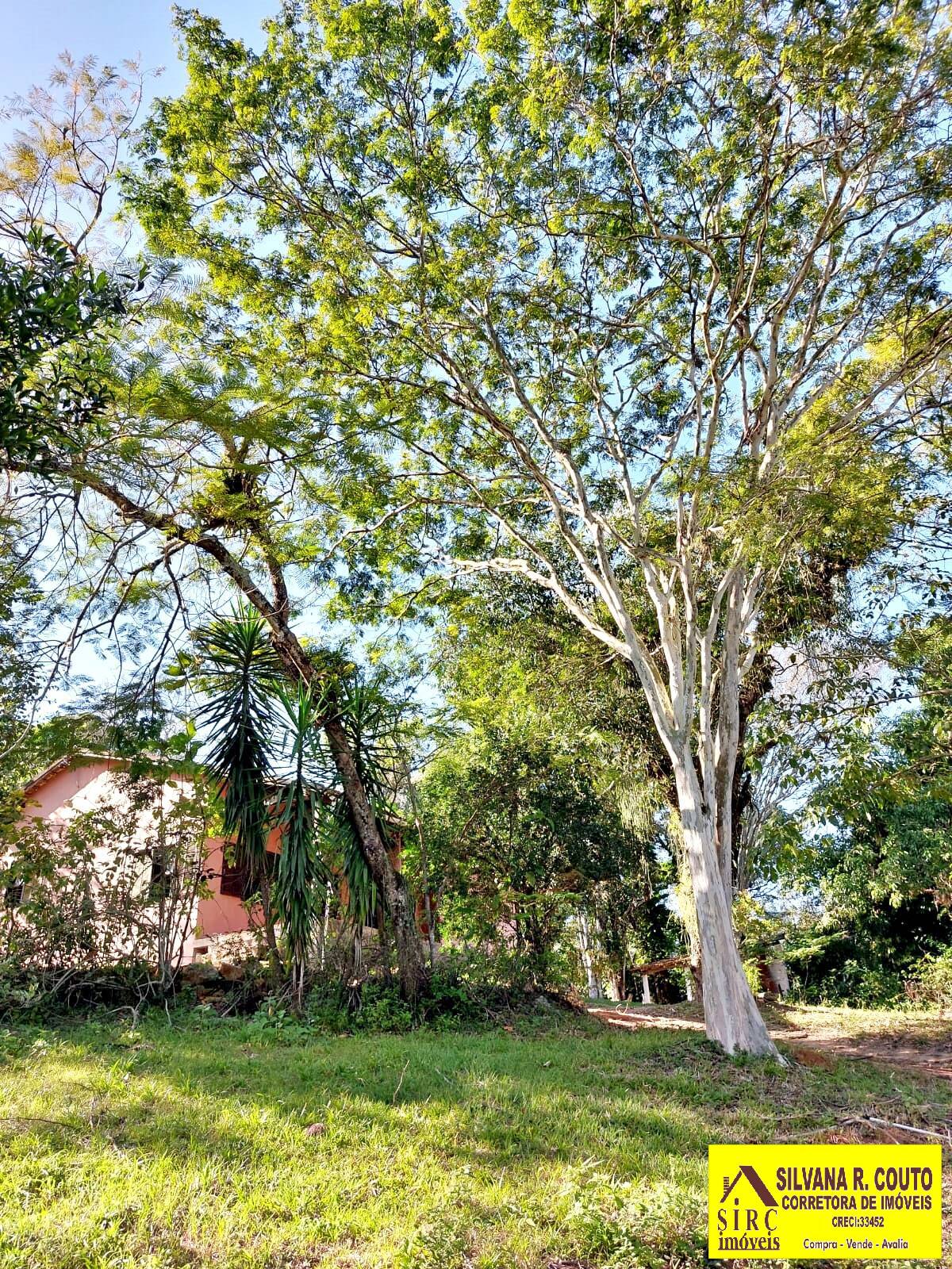 Fazenda à venda com 2 quartos, 230m² - Foto 9