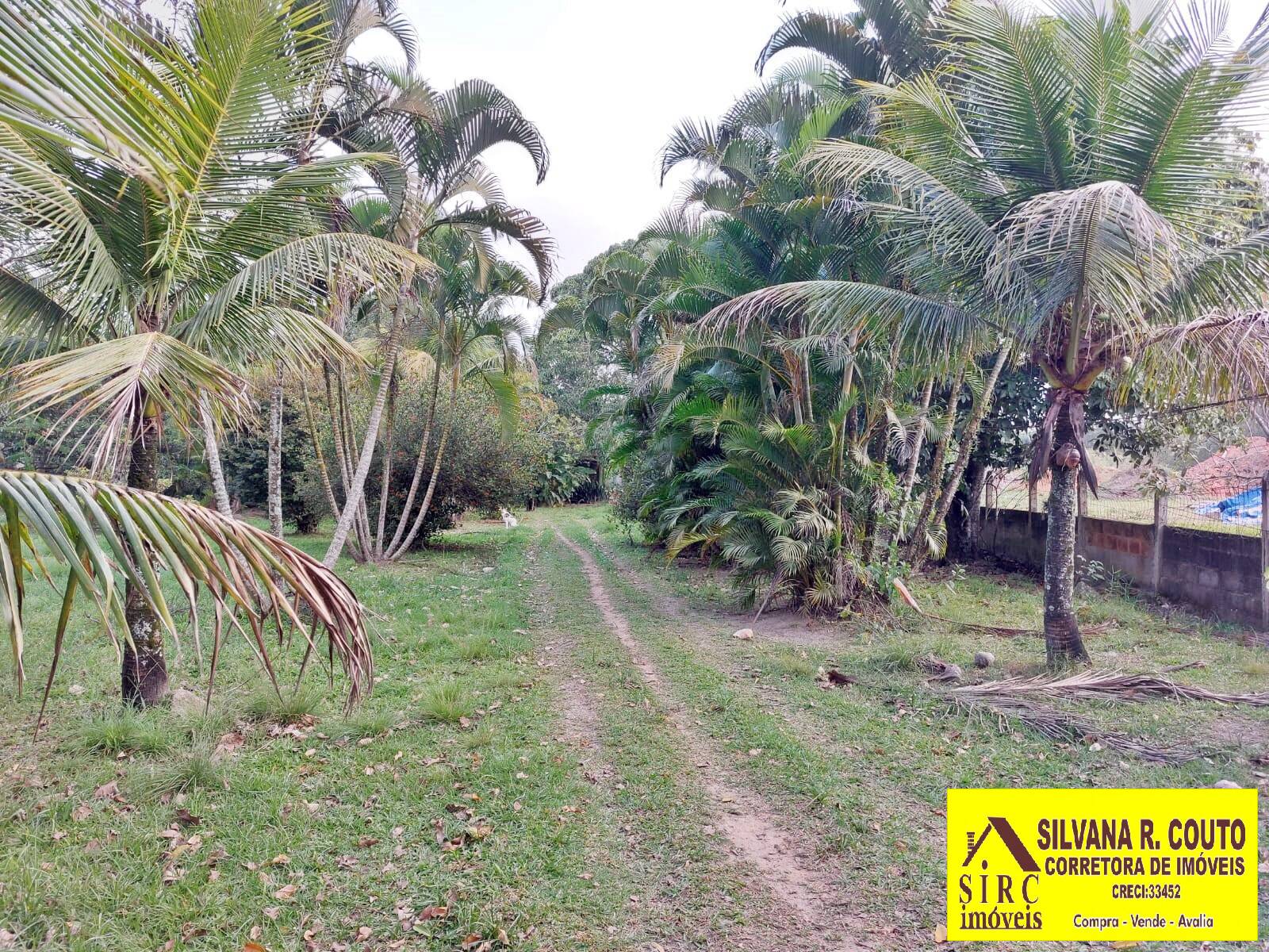 Fazenda à venda com 5 quartos, 3000m² - Foto 5