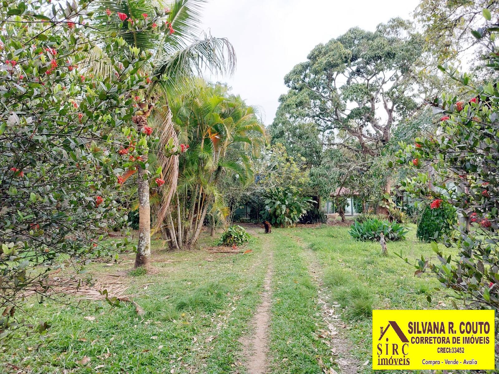 Fazenda à venda com 5 quartos, 3000m² - Foto 6