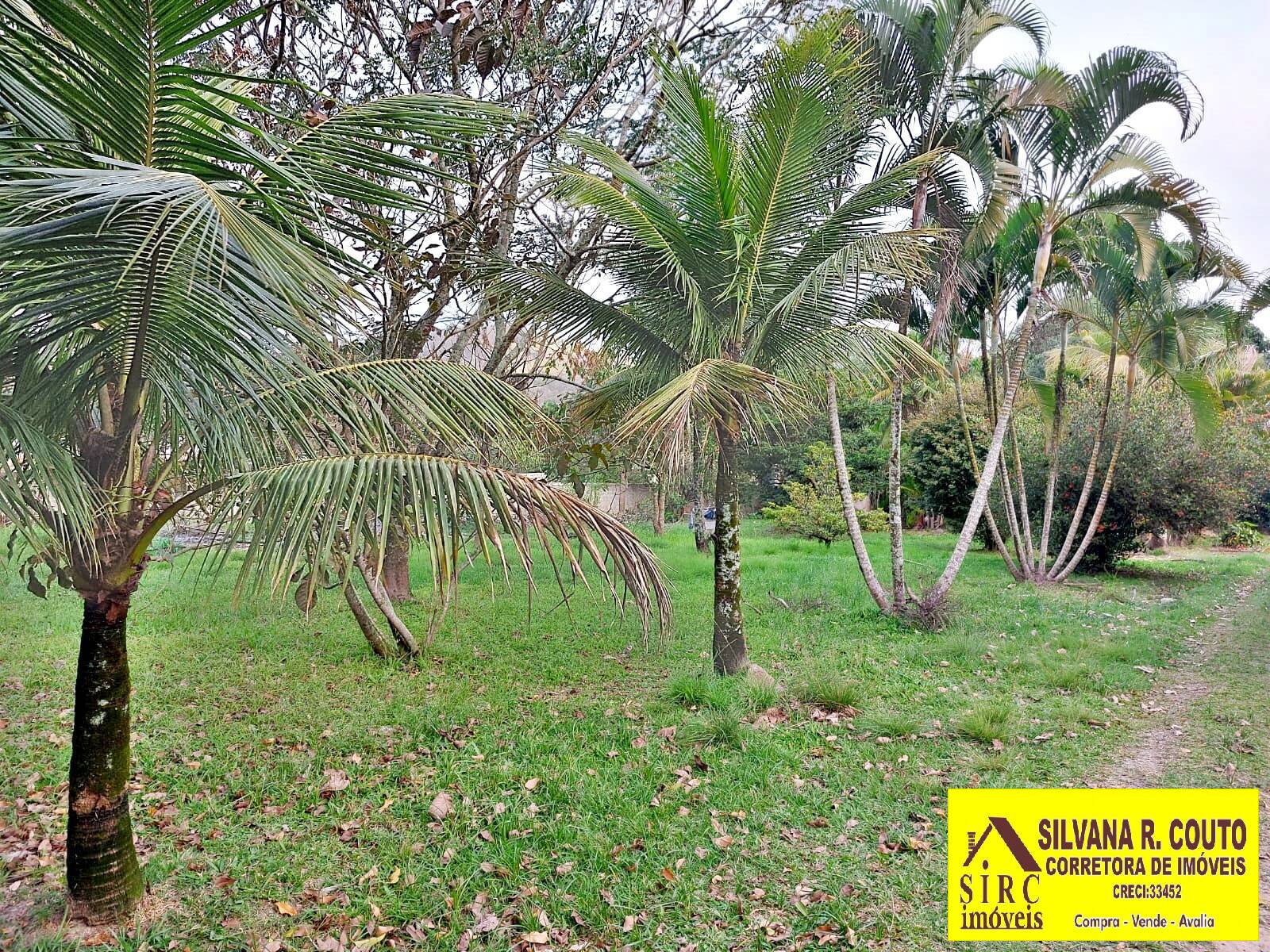 Fazenda à venda com 5 quartos, 3000m² - Foto 9