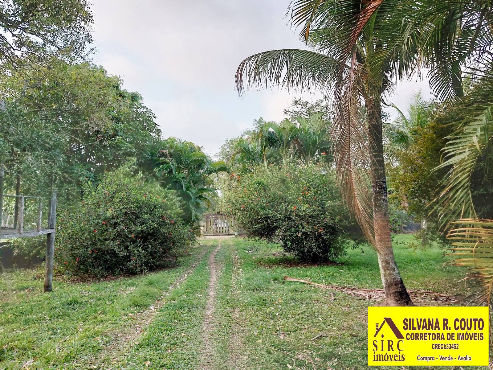 Fazenda à venda com 5 quartos, 3000m² - Foto 13