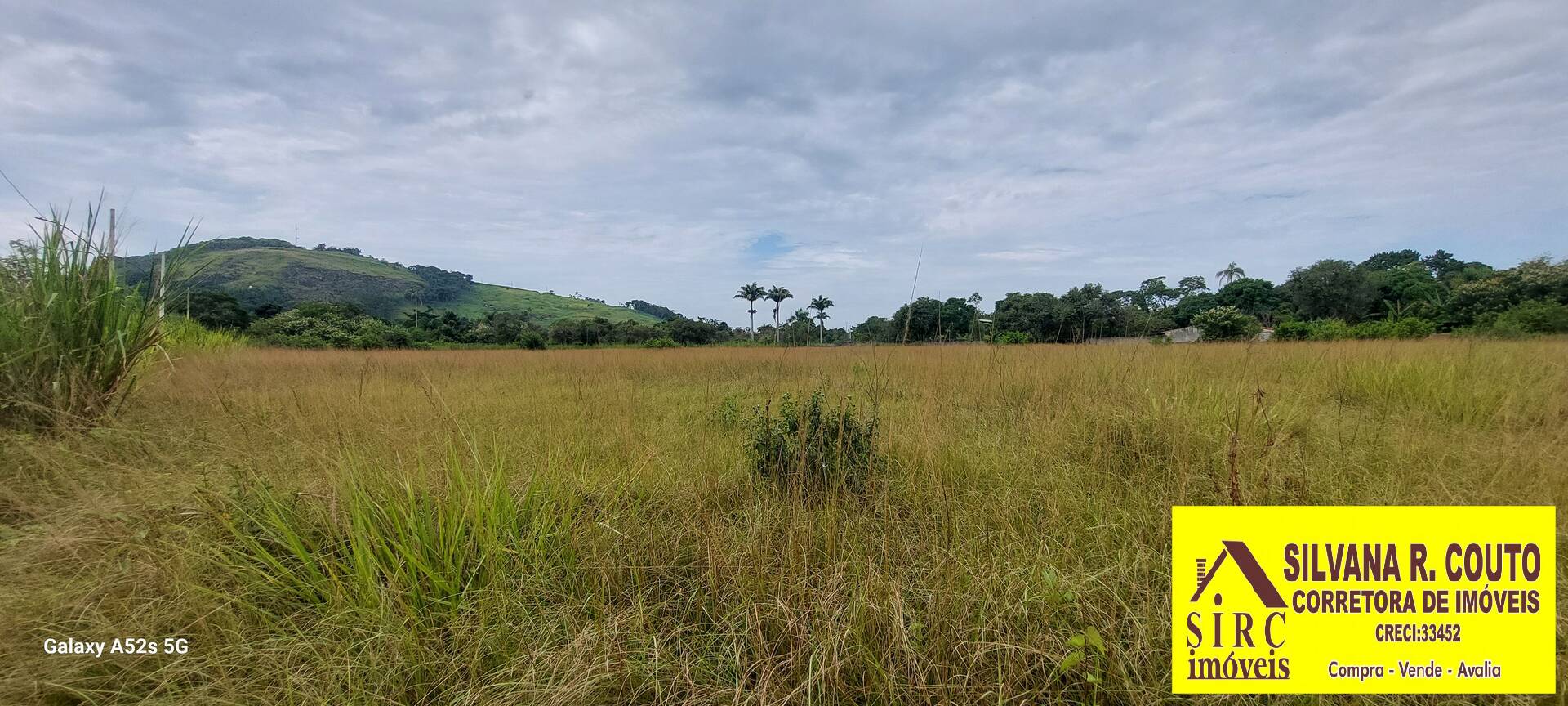 Casa à venda com 3 quartos, 20000m² - Foto 4