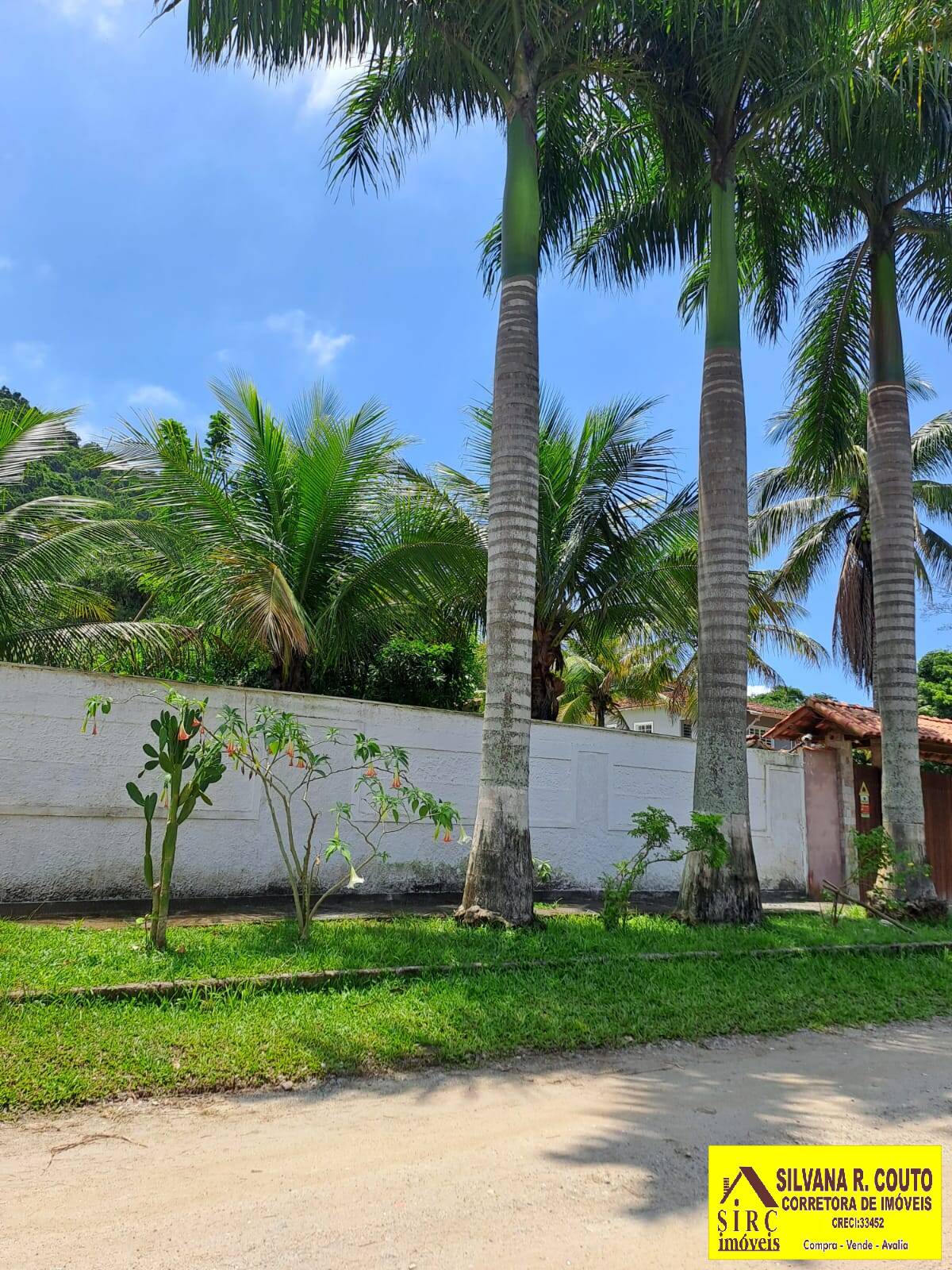 Fazenda à venda com 4 quartos, 1000m² - Foto 6